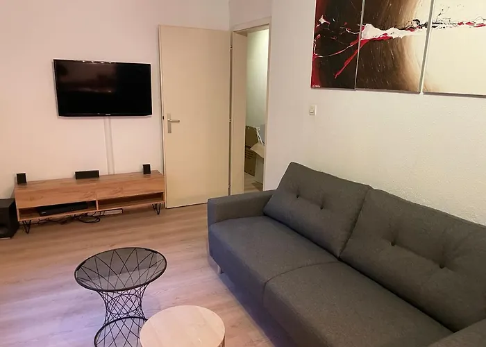 Appartement Beau T2 Au Calme Et Au Centre De Straatsburg